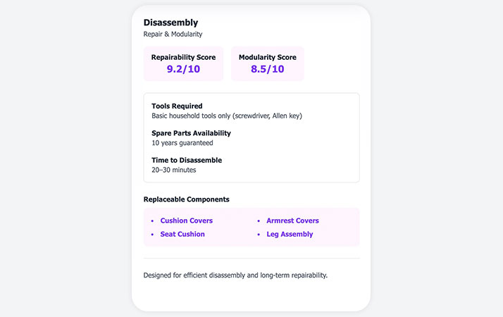 Disassembly preview